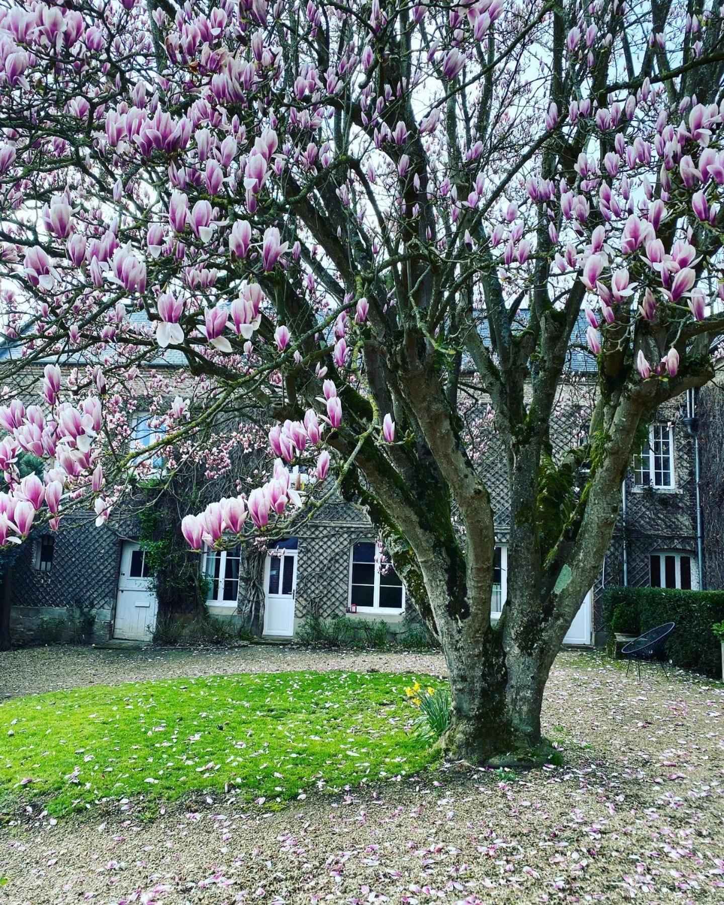 Bed and Breakfast La Benjamine Cany-Barville Exterior foto